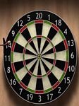 pic for darts any
